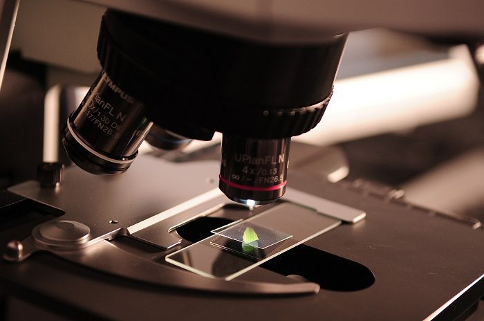 Blood Test Examination Blood Test Examination